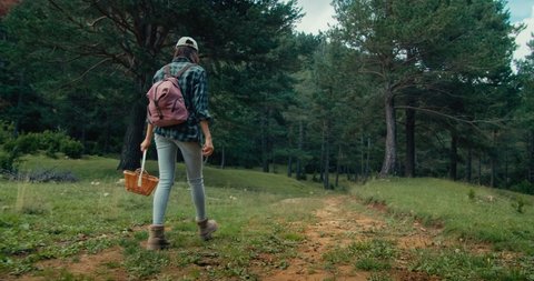 Traveler female with backpack hike on forest path holding basket for collecting mushroom on autumn travel. Handheld following footage of young adult woman on nature trail Video de stock