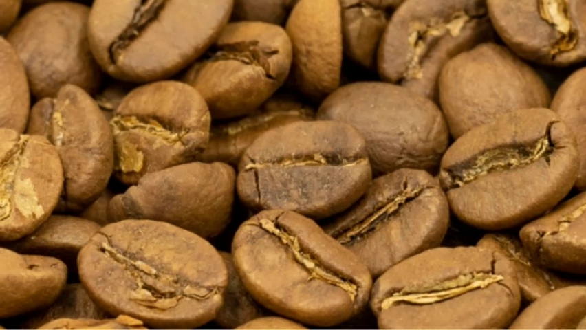 Heart shaped coffee beans. Empty space for text