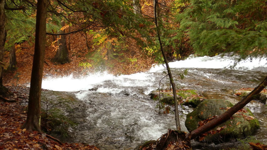 River Rapids Rambling Down Through Rocks With Beautiful Autumn Foliage In Ontario. static