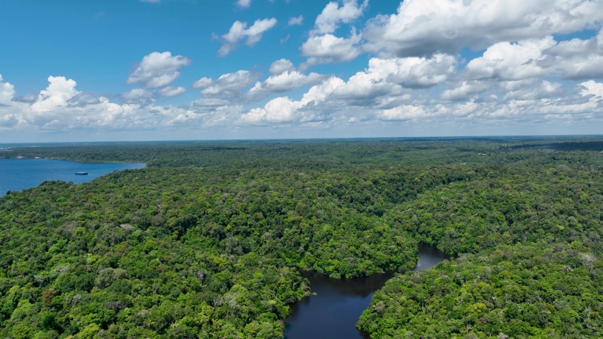 Amazon River At Manaus Amazonas Brazil. Outdoors Forest Landscape Amazon Jungle. Wallpaper Of Outdoors Scenics. Amazon River Wallpaper Amazon Basin. | Shutterstock HD Video #1094125427