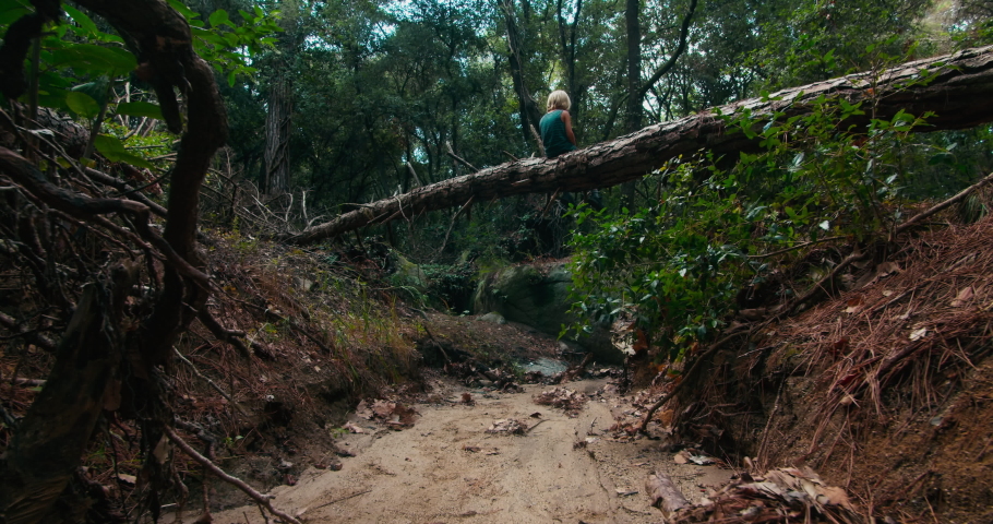 Child boy in summertime vacation sit in forest on fallen pine tree trunk over the dry river. Camera dolly movement focusing on children. Preschool kid enjoying journey in woodland. 
