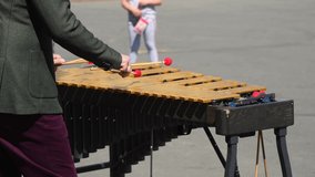 Close-up view of male street performer playing on wooden xylophone on city square in a sunny day. 4K resolution real time video. Musical instruments theme.