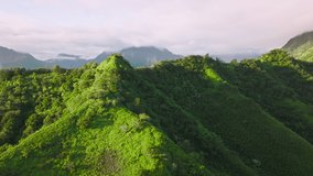 Deep hanging valleys merging into the sea as seen from above. Aerial footage of lush tropical jungle with spectacular sunrise skyline in the background. High quality 4k footage