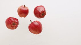 Red apples jump and fall, Natural fruits isolated on white background, malus domestica, Sweet Fruits on White Background , Red Natural juicy apples and raw food filmed in studio. - Powered by Shutterstock - Get 15% off with code: PIKWIZARD15