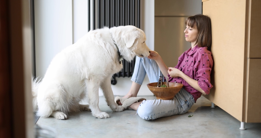 Young woman eating salad and feeding her huge adorable white dog while sitting on the floor at home. Healthy food and friendship with pet concept