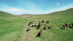 Aerial view of a herd of horses slowly galloping on the endless green meadow. Drone follows the horses. - Powered by Shutterstock - Get 15% off with code: PIKWIZARD15