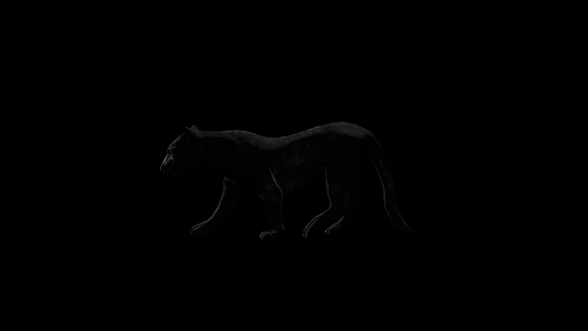 Black Jaguar Walk animation.Full HD 1920×1080.7 Second Long.Transparent Alpha video.LOOP. | Shutterstock HD Video #1094164723