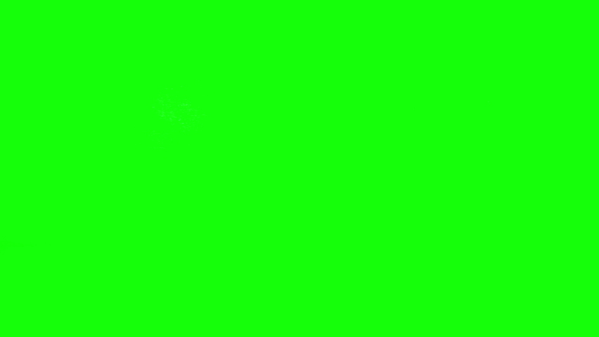 4K small dachshund on green screen isolated with chroma key, real shot. Dog slowly walks across the frame from left to right and from right to left Royalty-Free Stock Footage #1094173875