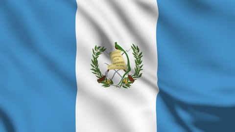 Guatemala National Flag Video 3d Guatemalaflag Stock Footage Video (100 ...