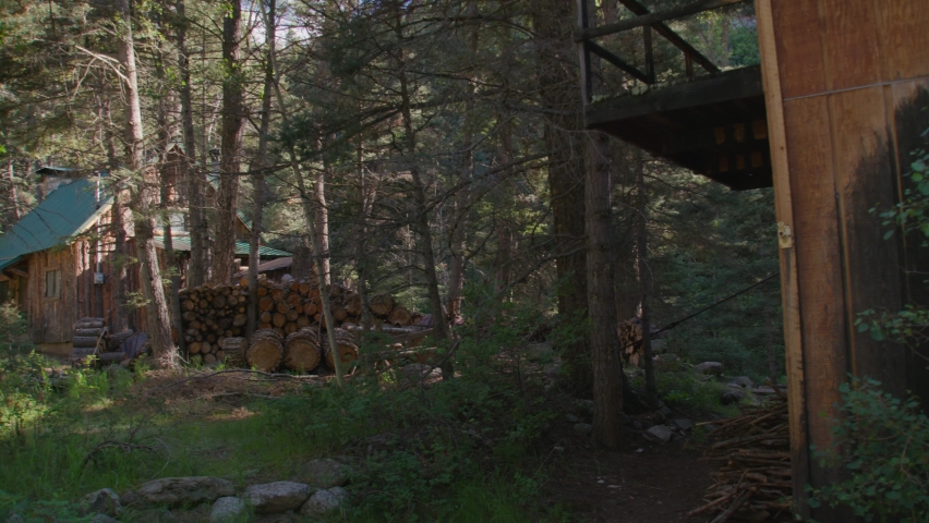 A cabin in the woods and the road trail leading up to it. 