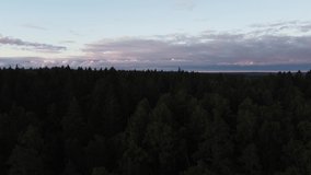 Flying over forest early in the morning at sunrise. Drone video.
