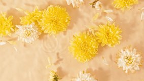 Slow motion of falling chrysanthemum flower on water surface and diverging circles of water on orange background. Water splash yellow colored. Pure water with reflections sunlight and shadows. summer - Powered by Shutterstock - Get 15% off with code: PIKWIZARD15