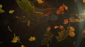 Animation of autumn leaves over glowing light on dark background. Thanksgiving day, autumn, american tradition and celebration concept digitally generated video. - Powered by Shutterstock - Get 15% off with code: PIKWIZARD15