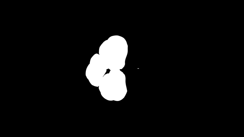 Shutterstock Video