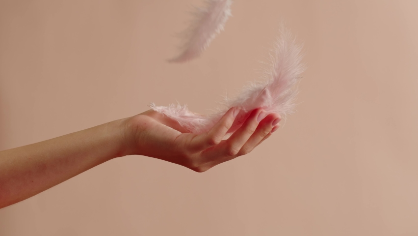 White feathers texture, hand catching soft plumelets on pink background close-up. Softness and fur concept. 