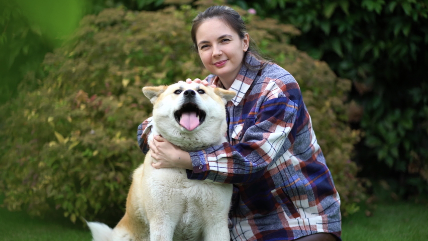 Portrait of a girl in a shirt petting her favorite dog Akita inu on the lawn and looking at the camera. Outdoor recreation with a pet. Royalty-Free Stock Footage #1094313847