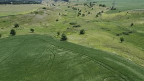 Nature background.  Environment scene. Agriculture farmind field. Green earth texture. Panoramic footage.

