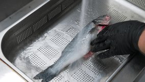 Video of Chef cleaning and washing fish in sink