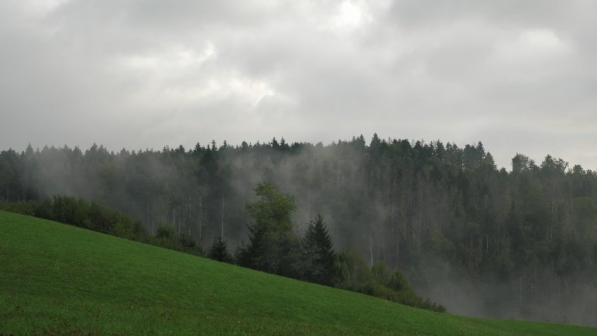 Morning misty fog moving over green hill and mountains. Forest trees on mountain hill at misty rainy morning. Morning fog at beautiful autumn forest. Misty foggy mountain landscape