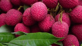 Bunches of pink litchis are on display for sale. A bunch of fresh pink lychees background. Litchi fruit close-up  4k video. 