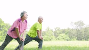 Senior couple exercising and knee stretches  in the park  - Powered by Shutterstock - Get 15% off with code: PIKWIZARD15