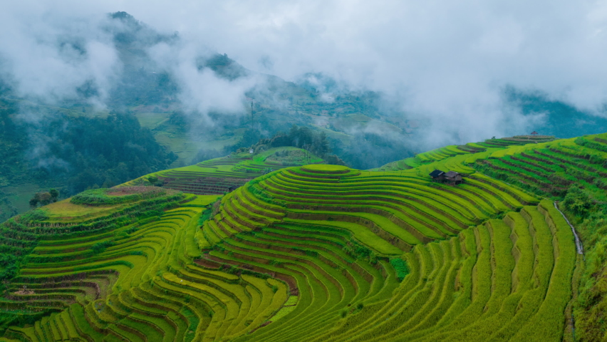 Hyper lapse of Rice terraces with morning mist in Mu cang chai, Vietnam. Beautiful landscape in Vietnam.
 Royalty-Free Stock Footage #1094369173