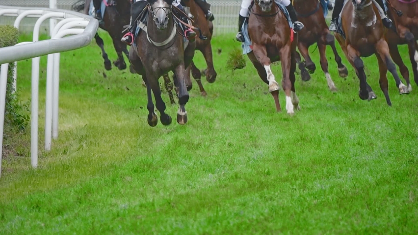 Horse racing, hooves scatter grass during the race. Recorded in slow motion. Royalty-Free Stock Footage #1094377141