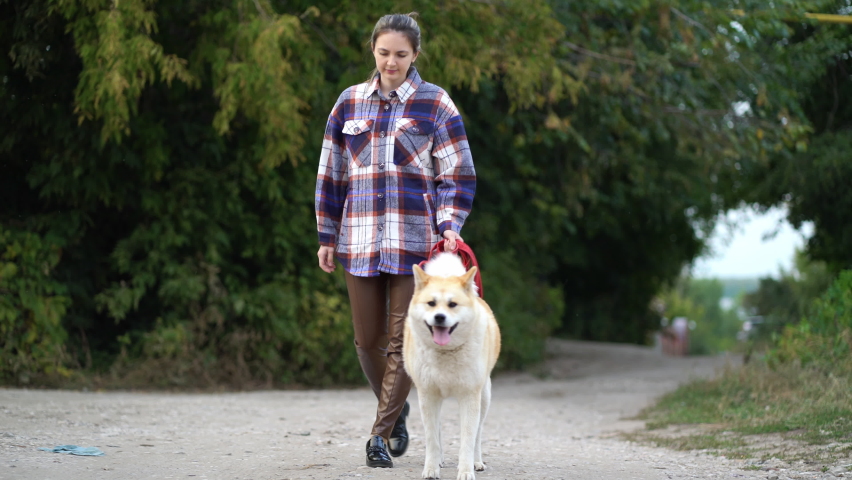 Woman in plaid shirt holding akita inu dog on red leash while walking outdoors Royalty-Free Stock Footage #1094388255