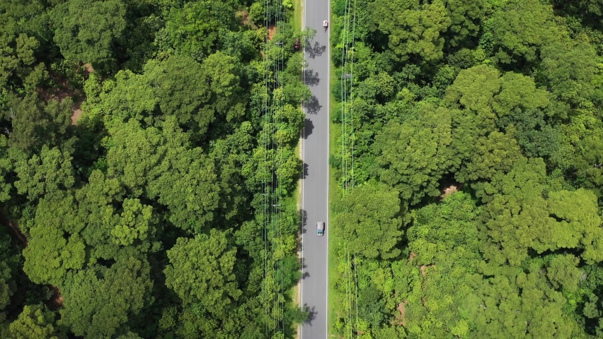 Aerial view of a road crossing the Reserve forest, Cox’s Bazar, Bangladesh. Royalty-Free Stock Footage #1094389783