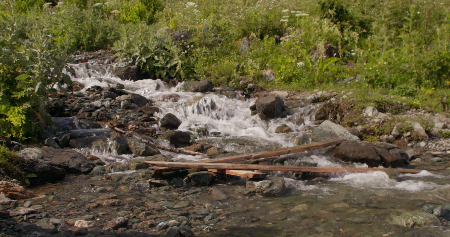 Woman solo hiker careful go through river creek, dog relax walking. Medium shot