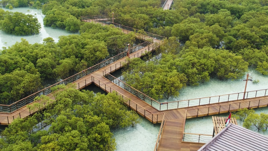 Aerial view of Jubail Mangrove Park, Abu Dhabi, United Arab Emirates. Royalty-Free Stock Footage #1094390789