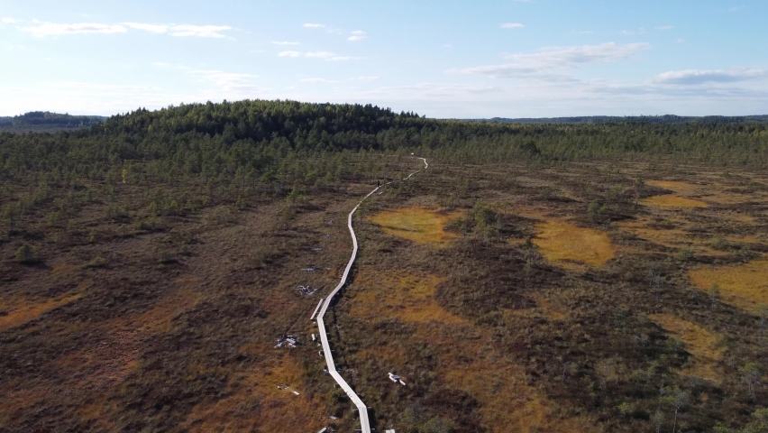Duckboards on a large swamp. Drone shot