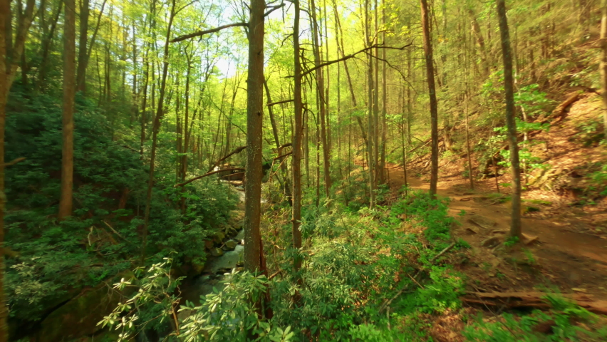 FPV drone shot flying through the forest at Ravel Cliffs Falls. Between two trees, close proximity to the stream, and up to the waterfall.