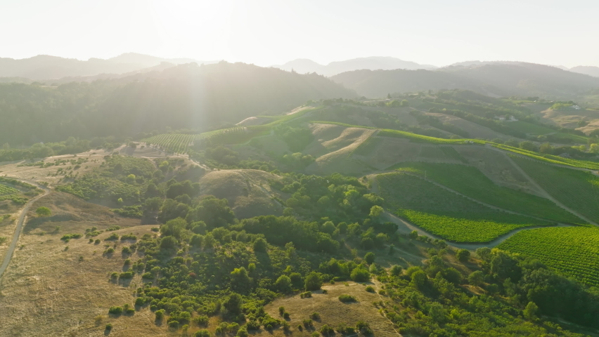 Aerial view of Napa Valley vineyard landscape during summer season. Napa County, in California's Wine Country. Royalty-Free Stock Footage #1094408909