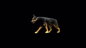 German Shepherd Walk animation.Full HD 1920×1080.8 Second Long.Transparent Alpha video.LOOP.