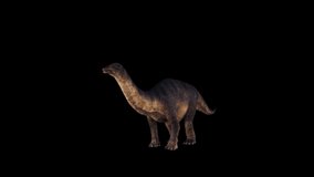 Dinosaur – Brontosaurus idle animation.Full HD 1920×1080.8 Second Long.Transparent Alpha video.LOOP.