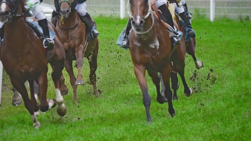Horse racing, hooves scatter grass during the race. Recorded in slow motion. Royalty-Free Stock Footage #1094433507