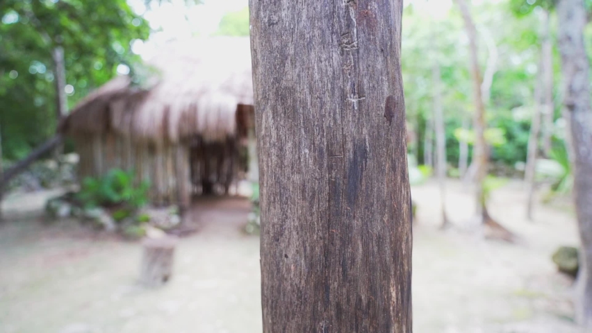 Lost Mayan ruins in the impenetrable jungle. Old abandoned hut of the ancient Maya.