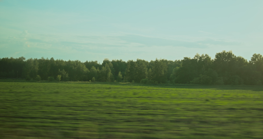 View from the window of a car, bus, train, on a large green meadow, with a distant view of a dense forest. Day, general plan. Royalty-Free Stock Footage #1094450059