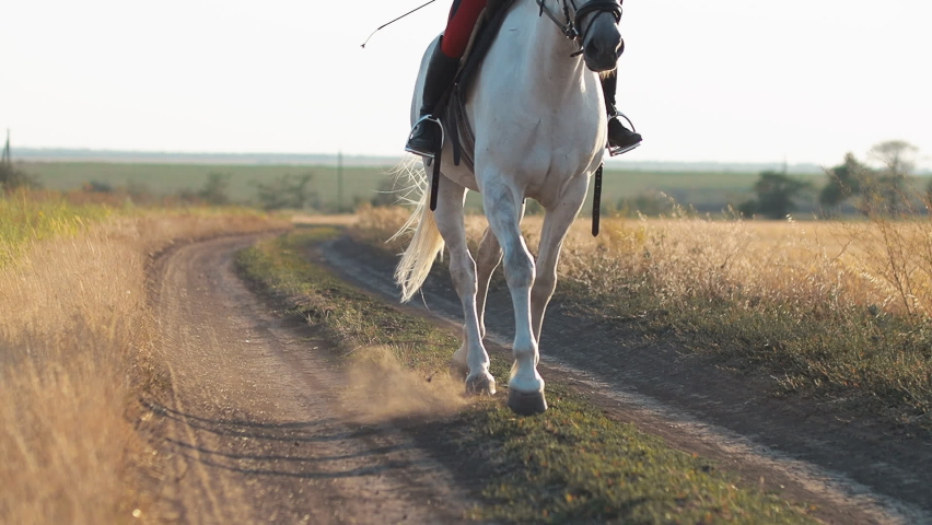 A woman in a red uniform walks on a white horse in a field of hay. Horse legs close up. Moves towards the camera.