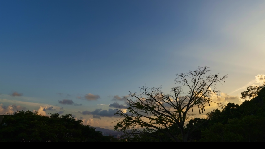 Time lapse of Colorful sunset behind a tree