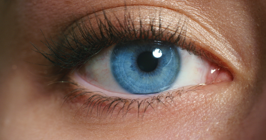 Woman face, blue eyes and vision focus, eyeball and contact lenses to see, eyesight and awareness. Closeup portrait face macro cosmetics lashes, optometry test and awake perception of human anatomy | Shutterstock HD Video #1094476349