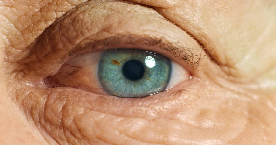 Moving eye, sight and vision of senior person eyeball. Health, medical eye exam and macro close up of blue eyes of a old person who is looking around and blinking while thinking or contemplating Royalty-Free Stock Footage #1094476523