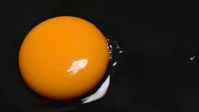 Chicken egg yolk on black background video