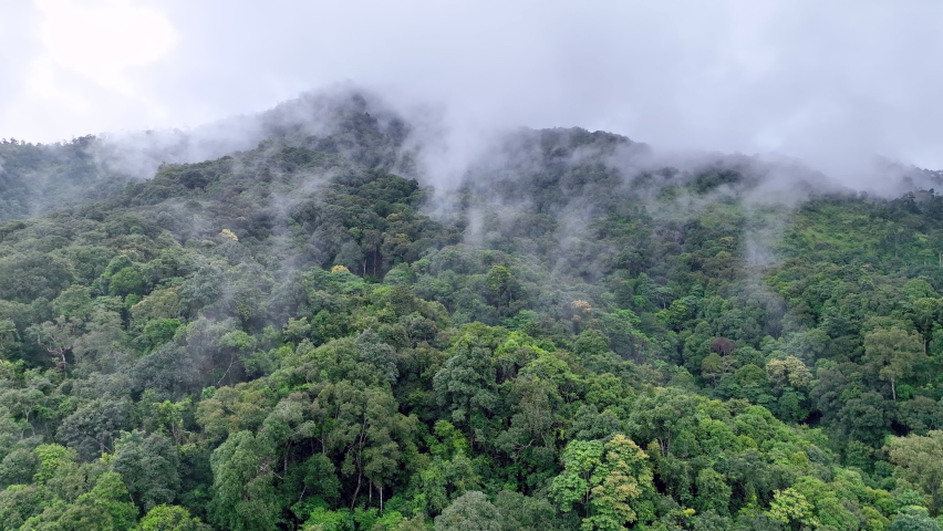 Tropical forests can absorb large amounts of carbon dioxide from the atmosphere , aerial view. Royalty-Free Stock Footage #1094487079