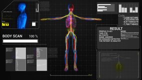 Biometric Scan of Human Body. Medical Diagnostics Dynamically Reveal of Digital Data and Infographics. 3D Analyse of Health and Body condition. Colorful Motion Graphics. Concept of Human Anatomy. High - Powered by Shutterstock - Get 15% off with code: PIKWIZARD15