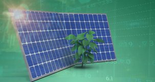 Animation of financial data processing over solar panels and plant on green background. Global business, sustainability and solar energy concept digitally generated video. - Powered by Shutterstock - Get 15% off with code: PIKWIZARD15