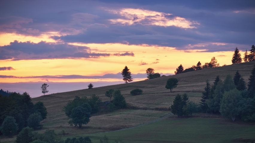 Detail of a mountain meadow with trees in a colorful twilight. Telephoto shot.