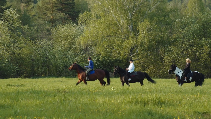 A group of people riding horses in a meadow. A man on a chestnut stallion rides first, girls on dark-colored horses behind him. The weather is sunny. There is a forest in the background | Shutterstock HD Video #1094495337