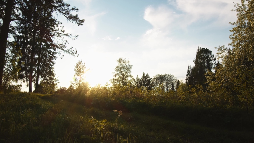 A couple of people are riding horses along a path leading into the forest. The man walks in front, the girl behind him. The weather is warm and sunny, sunset is coming soon | Shutterstock HD Video #1094495339